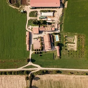 Albero Del Latte , Bagnolo San Vito Italy